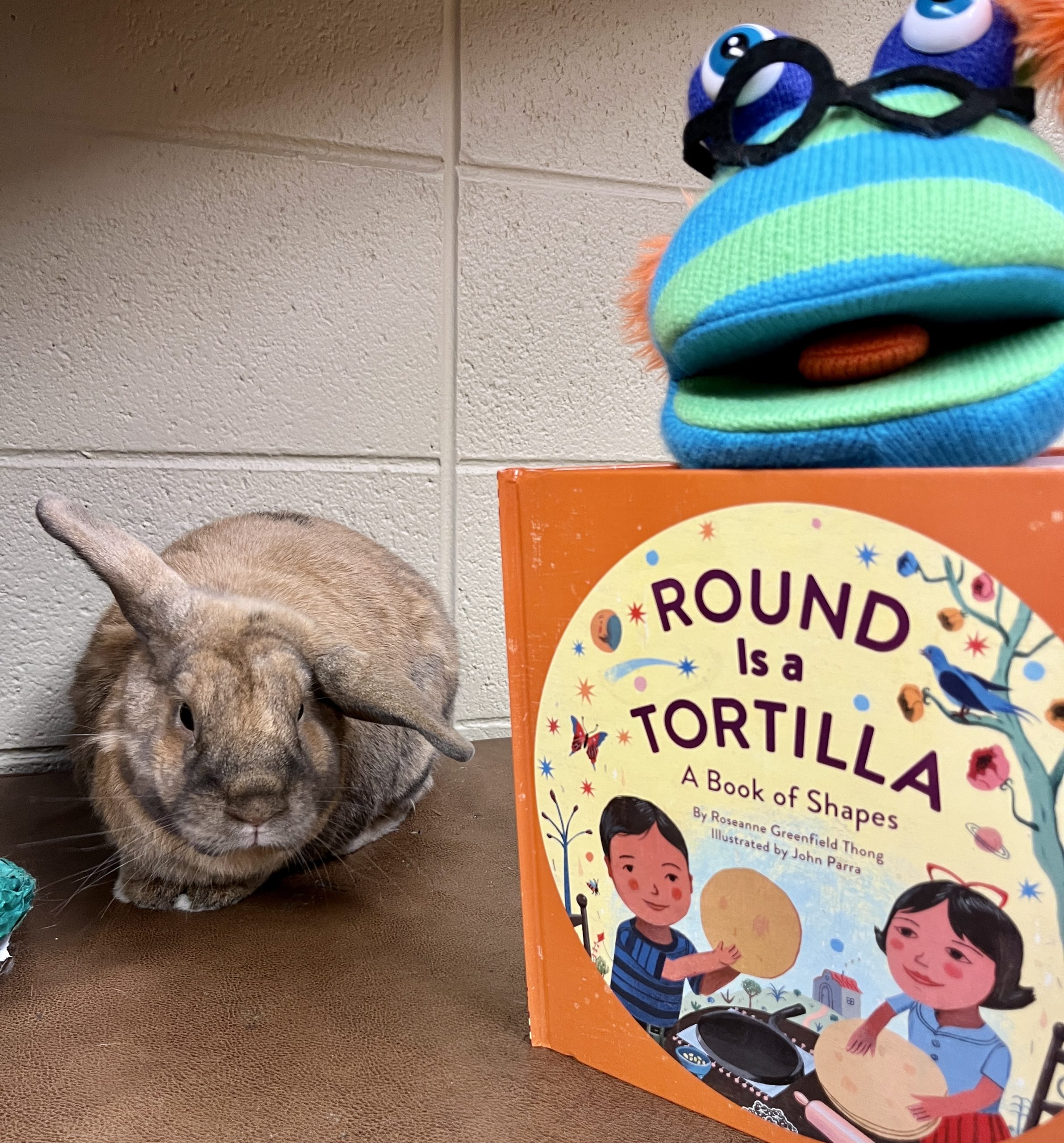 round-is-a-tortilla-a-book-of-shapes-stories-with-miss-library